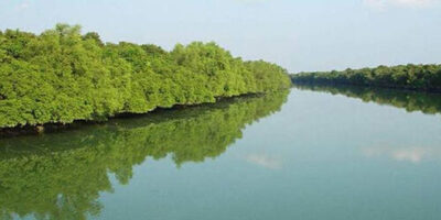 The Sundarbans – Khulna